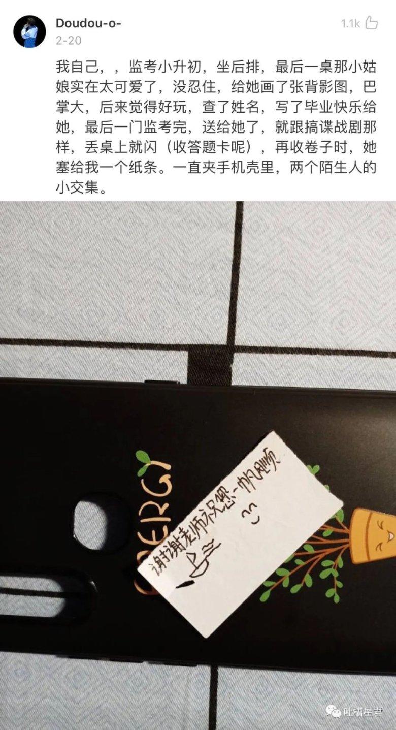 植物大战僵尸12